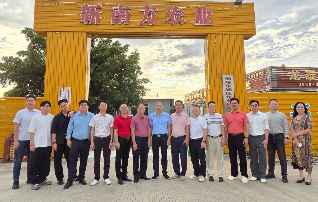 1761274434721675.jpg 640 (11).jpg